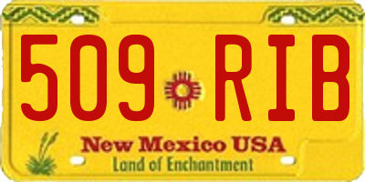 NM license plate 509RIB