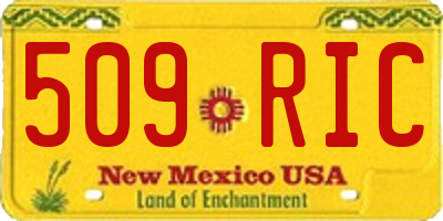 NM license plate 509RIC