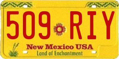 NM license plate 509RIY