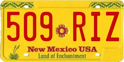 NM license plate 509RIZ