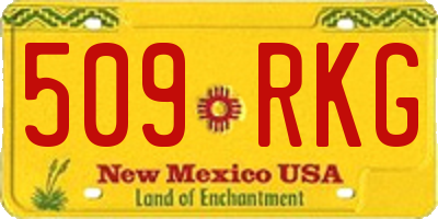 NM license plate 509RKG