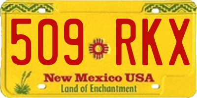 NM license plate 509RKX