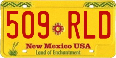 NM license plate 509RLD
