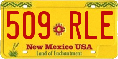 NM license plate 509RLE