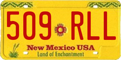 NM license plate 509RLL