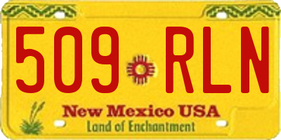 NM license plate 509RLN