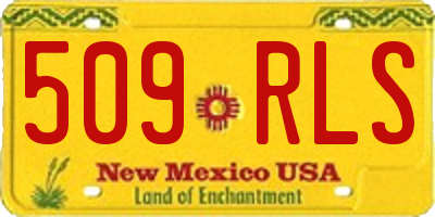 NM license plate 509RLS