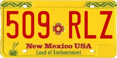 NM license plate 509RLZ