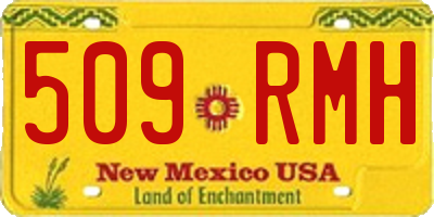 NM license plate 509RMH