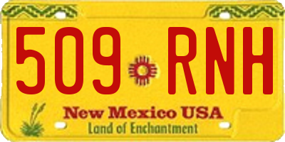NM license plate 509RNH