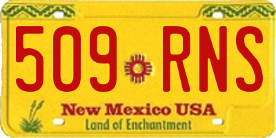 NM license plate 509RNS