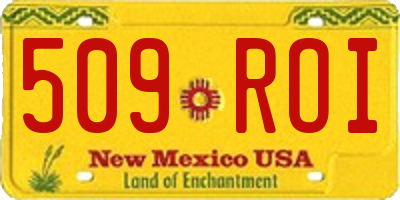 NM license plate 509ROI