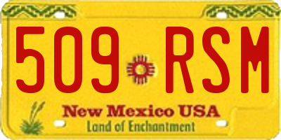 NM license plate 509RSM