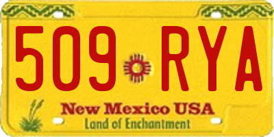 NM license plate 509RYA