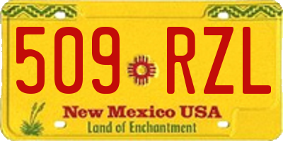 NM license plate 509RZL