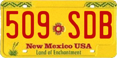 NM license plate 509SDB