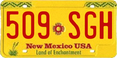 NM license plate 509SGH