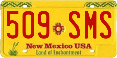 NM license plate 509SMS