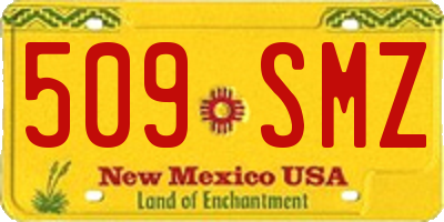 NM license plate 509SMZ