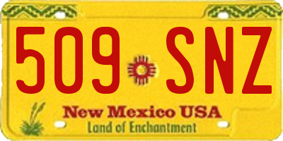 NM license plate 509SNZ