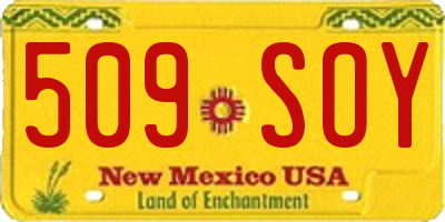 NM license plate 509SOY