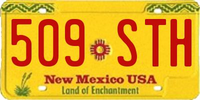 NM license plate 509STH