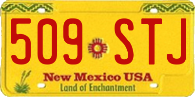 NM license plate 509STJ