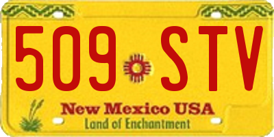 NM license plate 509STV