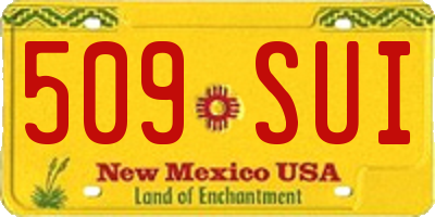 NM license plate 509SUI