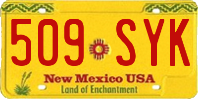 NM license plate 509SYK