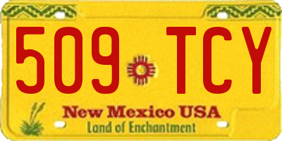 NM license plate 509TCY