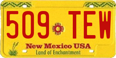 NM license plate 509TEW