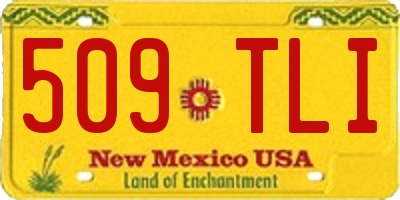 NM license plate 509TLI