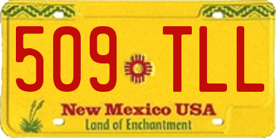 NM license plate 509TLL