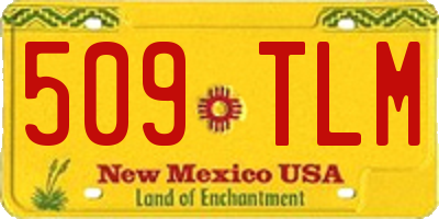 NM license plate 509TLM