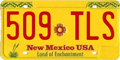 NM license plate 509TLS