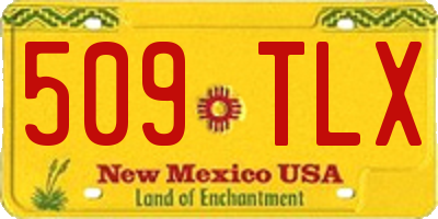 NM license plate 509TLX