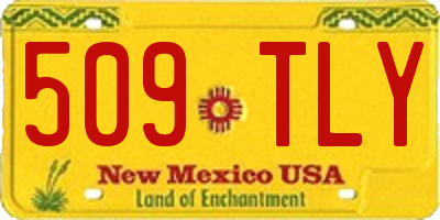 NM license plate 509TLY