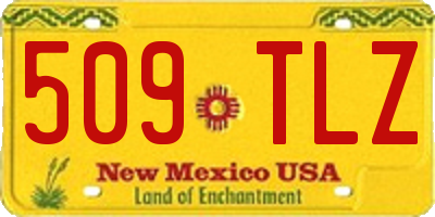 NM license plate 509TLZ