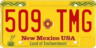 NM license plate 509TMG