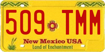 NM license plate 509TMM