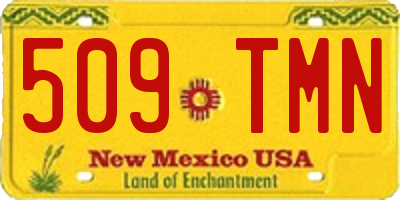 NM license plate 509TMN