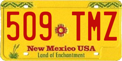 NM license plate 509TMZ