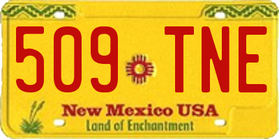 NM license plate 509TNE