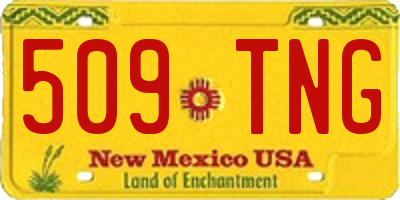 NM license plate 509TNG