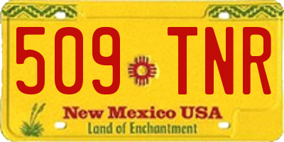 NM license plate 509TNR