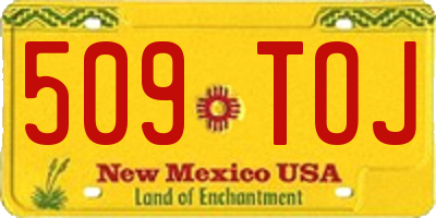 NM license plate 509TOJ