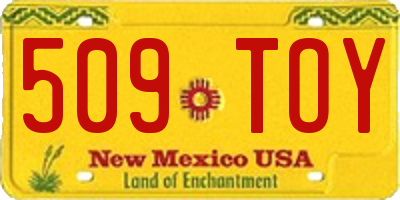 NM license plate 509TOY