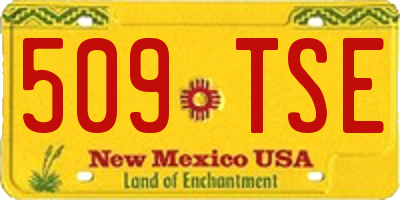NM license plate 509TSE