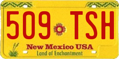 NM license plate 509TSH